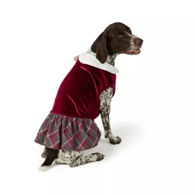 Product Merry & Bright® Velvet Holiday Dress