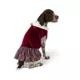 Product Merry & Bright® Velvet Holiday Dress