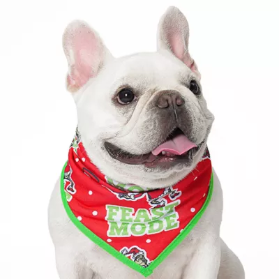 Product Dr Seuss: Holiday Feast Mode Dog Bandana