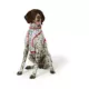 Product Merry & Bright® Candy Cane Reversible Dog Harness