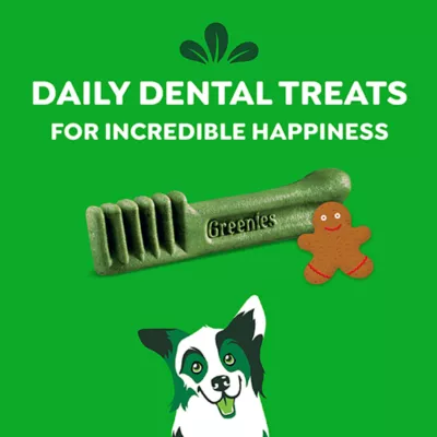 Product Greenies Gingerbread Dog Dental Treats 6 OZ