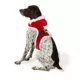 Product Merry & Bright® Santa Costume Harness