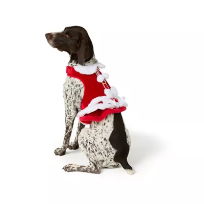 Product Merry & Bright® Mrs. Claus Harness