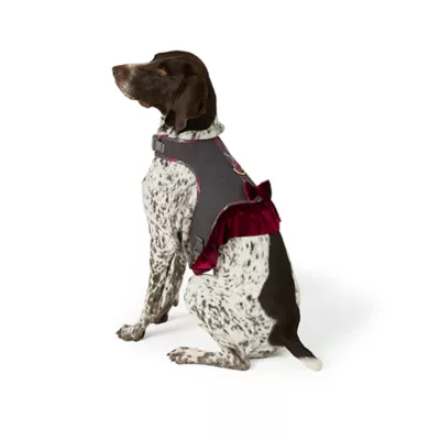 Product Merry & Bright® Plaid Holiday Harness