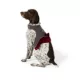 Product Merry & Bright® Plaid Holiday Harness