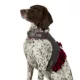 Product Merry & Bright® Plaid Holiday Harness