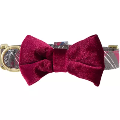 Product Merry & Bright® Plaid Velvet Collar