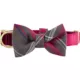 Product Merry & Bright® Velvet Collar