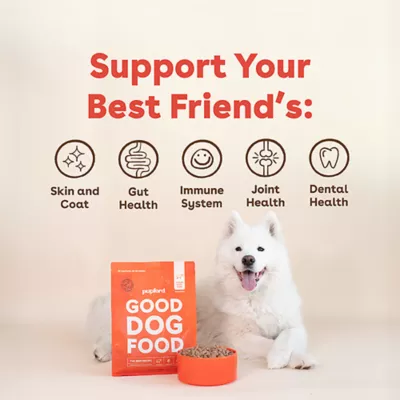 Product Pupford Freeze-Dried Raw All Life Stages Dry Dog Food - Beef, 14 oz