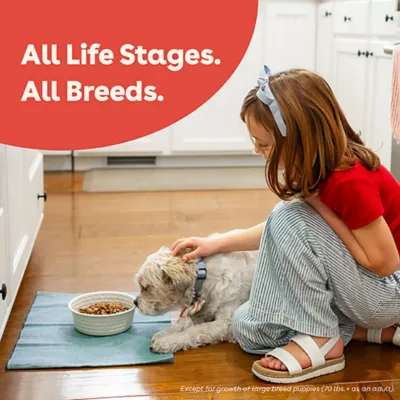 Product Pupford Freeze-Dried Raw All Life Stages Dry Dog Food - Beef, 14 oz