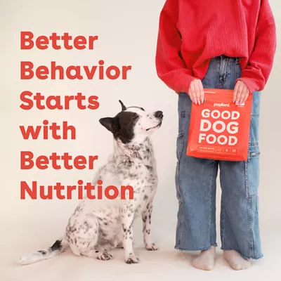 Product Pupford Freeze-Dried Raw All Life Stages Dry Dog Food - Beef, 14 oz