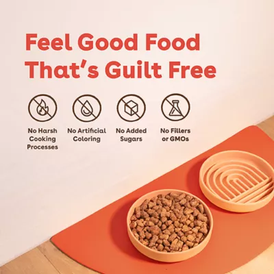 Product Pupford Freeze-Dried Raw All Life Stages Dry Dog Food - Beef, 14 oz