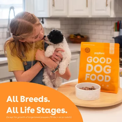 Product Pupford Freeze-Dried Raw All Life Stages Dry Dog Food - Chicken, 14 oz