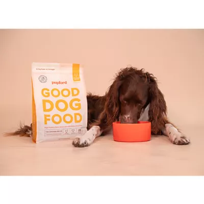 Product Pupford Kibble + Freeze-Dried Raw All Life Stages Dry Dog Food - Chicken, 3.5 lb