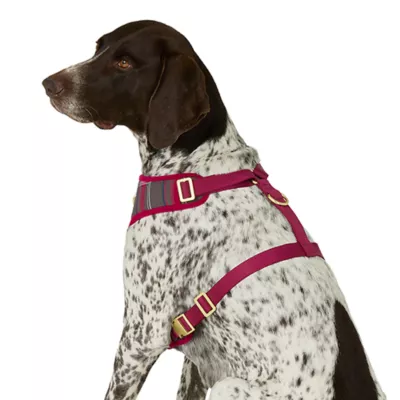 Product Merry & Bright® Plaid Holiday Harness