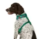 Product Merry & Bright® Trees Vest Harness