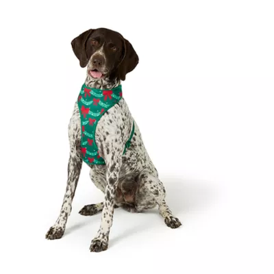 Product Merry & Bright® Trees Vest Harness