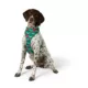 Product Merry & Bright® Trees Vest Harness