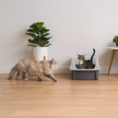 Product Iris High Sided XL Cat Litter Box, Gray