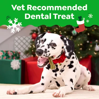 Product Greenies Gingerbread Dog Dental Treats 6 OZ