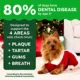 Product Greenies Gingerbread Dog Dental Treats 6 OZ