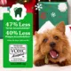 Product Greenies Gingerbread Dog Dental Treats 6 OZ