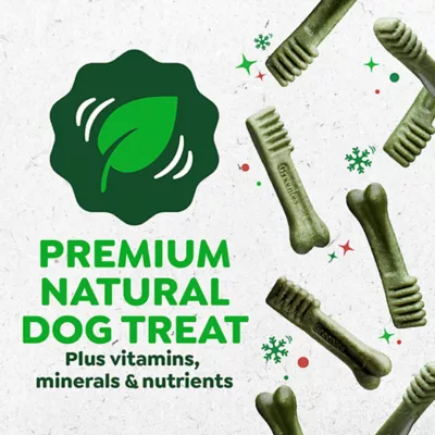 Product Greenies Gingerbread Dog Dental Treats 6 OZ