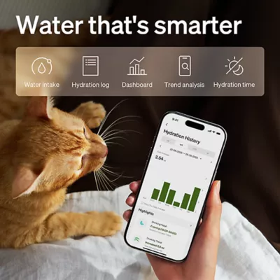 Product PETLIBRO Dockstream 2 Smart Cordless Fountain