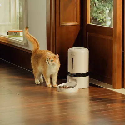 Product PETLIBRO Granary Smart Camera Feeder