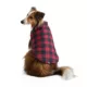 Product Hotel Doggy Dog Coat - Buffalo Check Puffer Jacket - Red