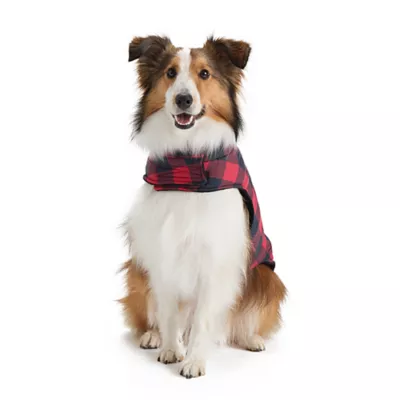 Product Hotel Doggy Dog Coat - Buffalo Check Puffer Jacket - Red
