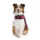Product Hotel Doggy Dog Coat - Buffalo Check Puffer Jacket - Red