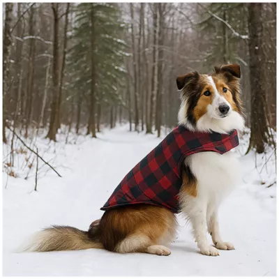Product Hotel Doggy Dog Coat - Buffalo Check Puffer Jacket - Red