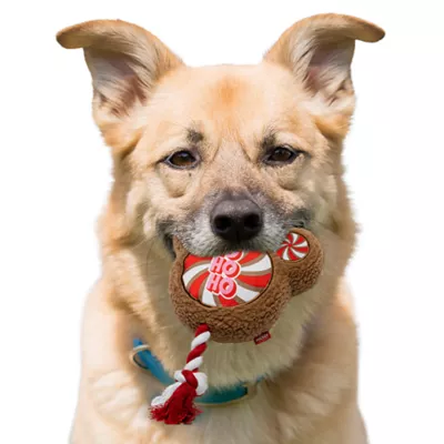 Product Mickey Candy Rope/Plush Combo Toy