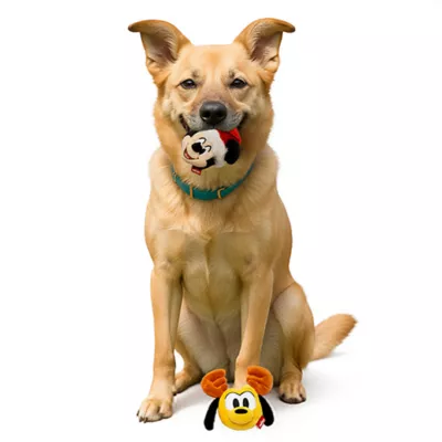 Product Mickey and Pluto 2 Pack Ball Plush Dog Toys