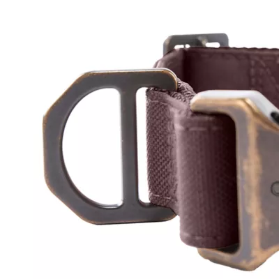 Product Carhartt Field Dog Collar