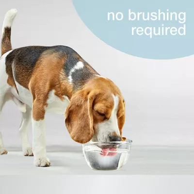 Product Nylabone® Advanced Oral Care Water Additive for Dogs