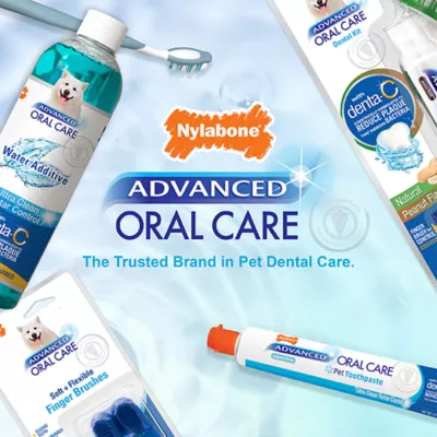 Product Nylabone® Advanced Oral Care Water Additive for Dogs