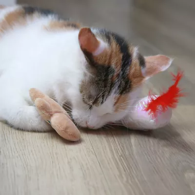 Product Mad Cat® Holiday Catnip and Silvervine Cat Toys