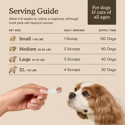 Product  Fera Pets Immune Support Mushroom Blend for Dogs and Cats