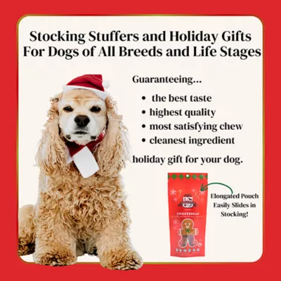 Product Lord Jameson Gingerbread Dog Treats