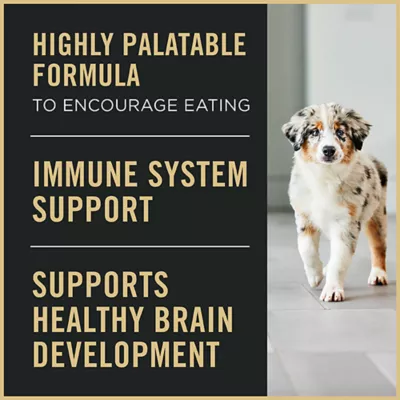 Product Purina Pro Plan Puppy Starter Ultra Soft Mousse Mother & Puppy Wet Dog Food - Chicken, 5.5 oz