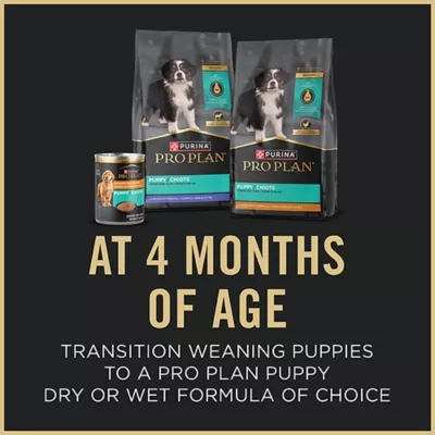 Product Purina Pro Plan Puppy Starter Ultra Soft Mousse Mother & Puppy Wet Dog Food - Chicken, 5.5 oz