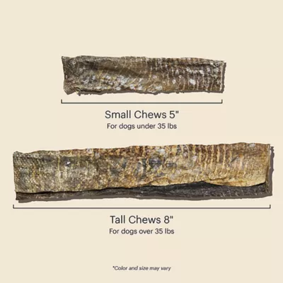 Product The Honest Kitchen Ocean Chews Crispy Cod Fish Skins Adult Dog Treats - 5.5 oz
