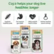 Product Longevity15 C15:0 Health Supplement for Dogs