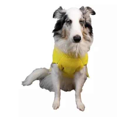 Product Spongebob Holiday Dog Sweater