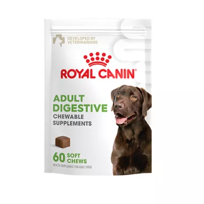 Product Royal Canin Digestive Supplement Soft Chews for Adult Dogs, 60 count