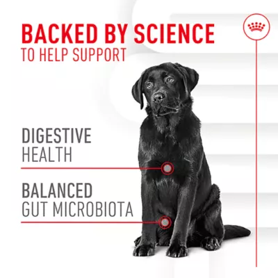 Product Royal Canin Digestive Supplement Soft Chews for Adult Dogs, 60 count