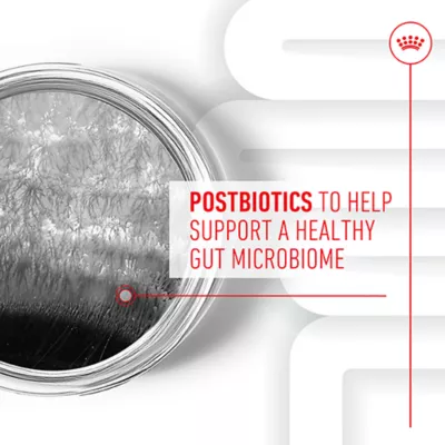 Product Royal Canin Digestive Supplement Soft Chews for Adult Dogs, 60 count