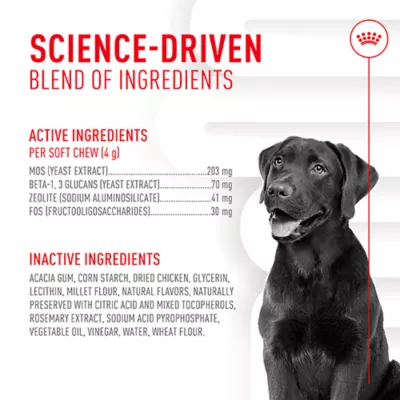 Product Royal Canin Digestive Supplement Soft Chews for Adult Dogs, 60 count